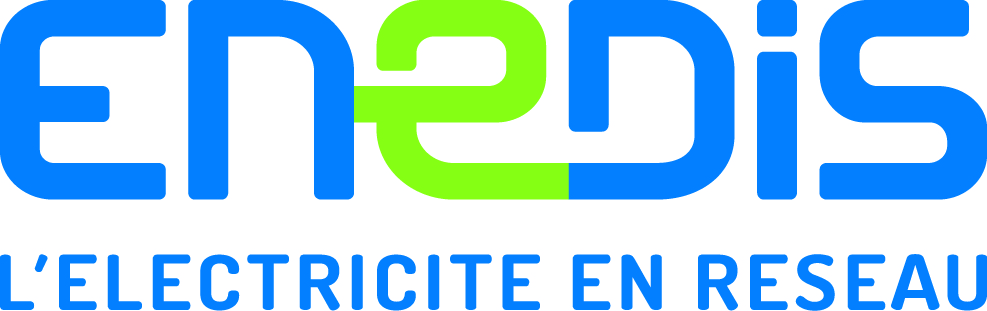 Logo ENEDIS 2016
