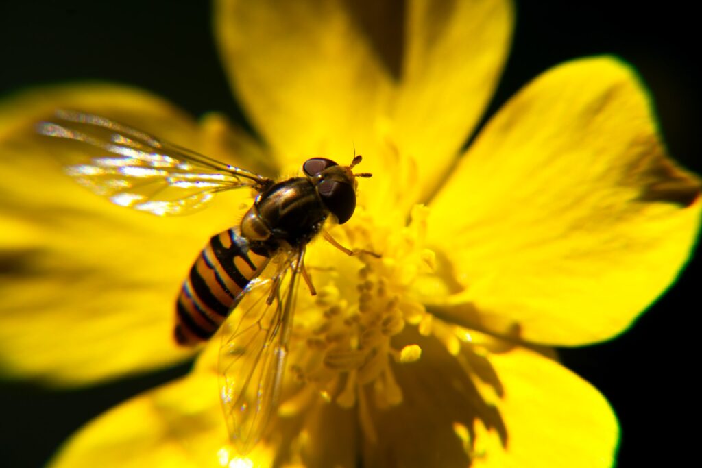 Solutions fondées sur la nature : des investissements à multiplier par trois d’ici 2030